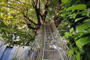 Première nuit passée sur un trampoline dans un tilleul à 4 metres au dessus du sol chez Vincent.